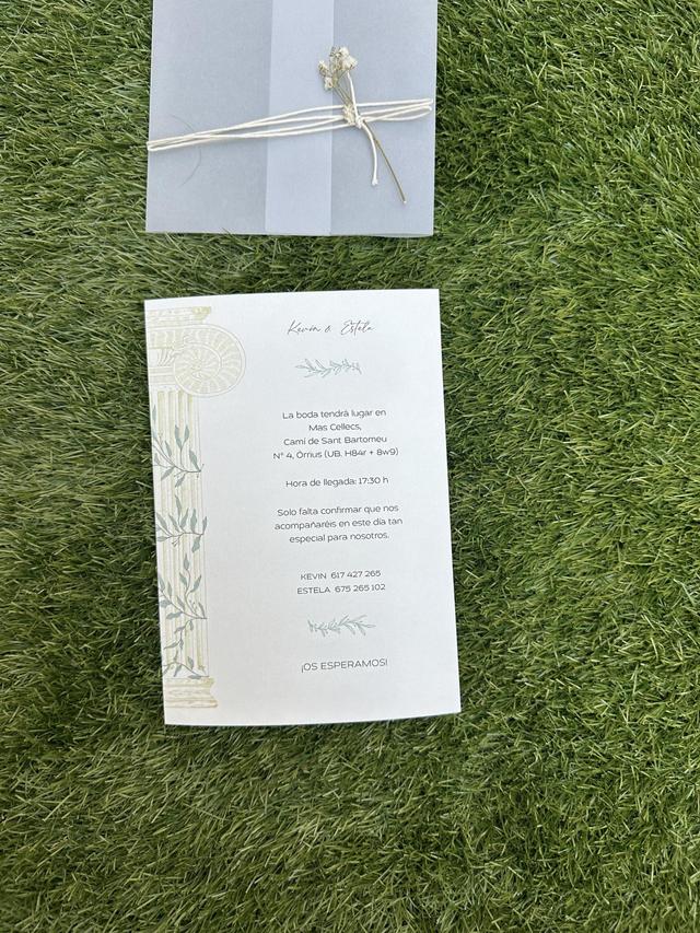 Lotta Rosé Weddings - 4