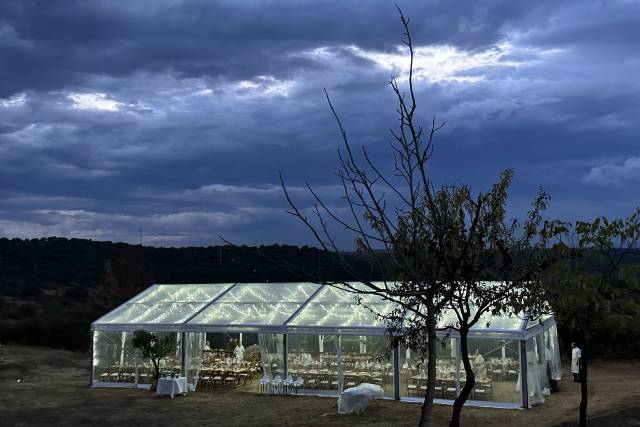 Carpas Élite 5