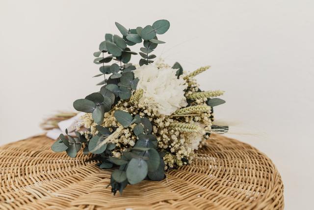 La Moderna Rural Shop - 1