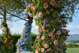 La Muga Flors - 14