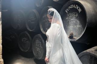 Bodegas Fundador - 6