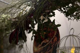 Flory Ferreras Öevents - 6