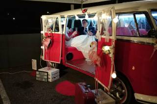 Frank - Volkswagen T1 - 6
