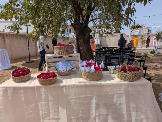 Momentos con Alma - 4