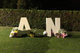 El jardinet de la plana - 8