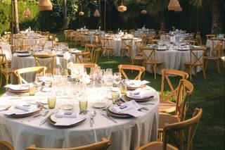 Avibo Rental - 5