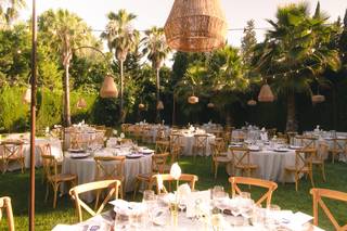 Avibo Rental - 6