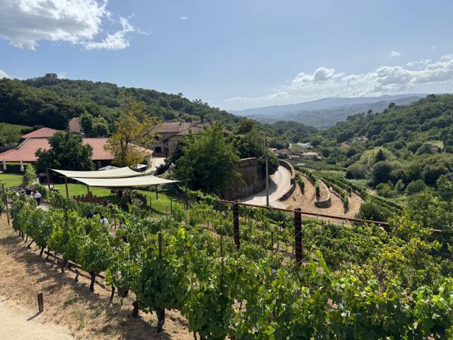 Pazo de Toubes - 1