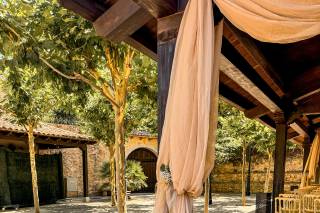 Finca Ogrelo - 9