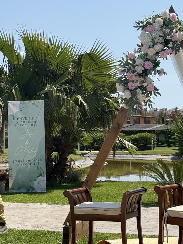 El Jardí de les Palmeres - 2