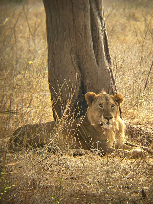 Soulmates Adventures - 1