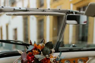 Simonetta Floral - 21