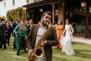 Peckin Brass - 8
