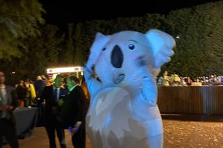 Tu Fiesta Loca - 6