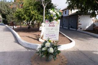 Floristería Ramos - 15