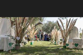 Stefi Panchesco - 10