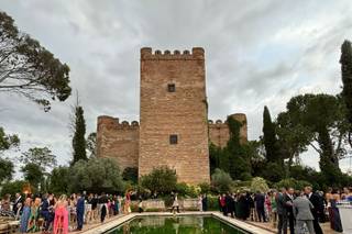 Castillo de Batres - 22