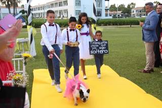 Mundievento - 6