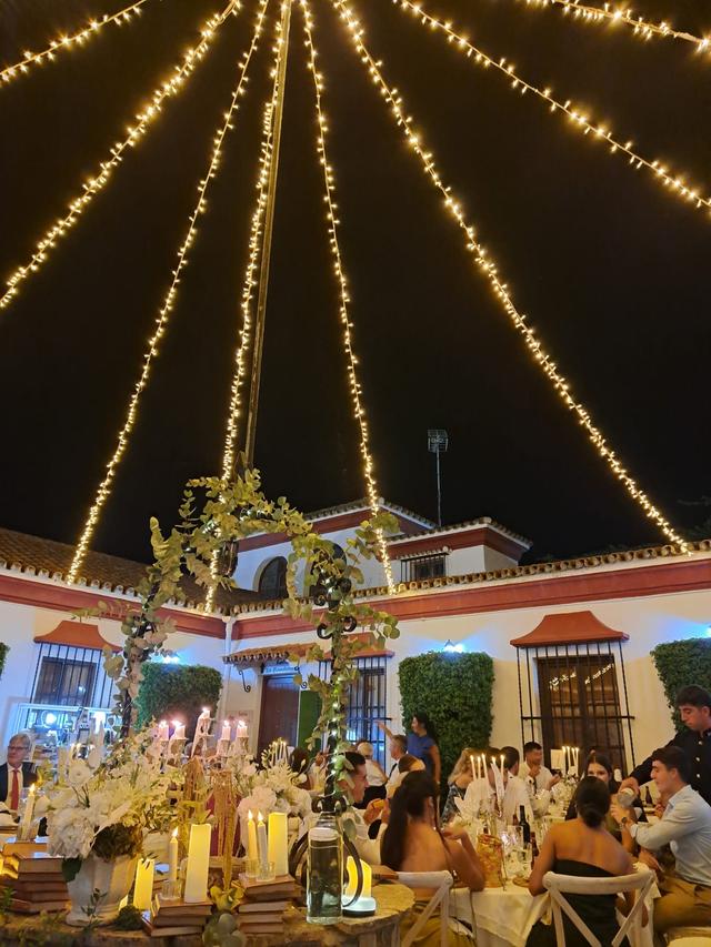 Decoilusión Maca - 2