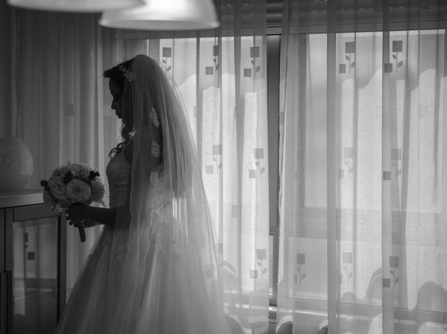 The Light Dispersion - 3