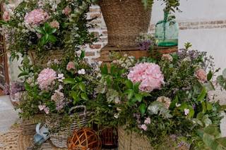 Simonetta Floral - 7