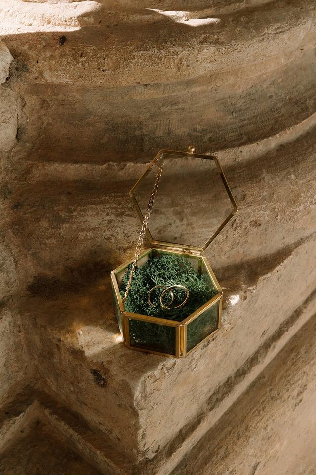 The Creative Shot - 1