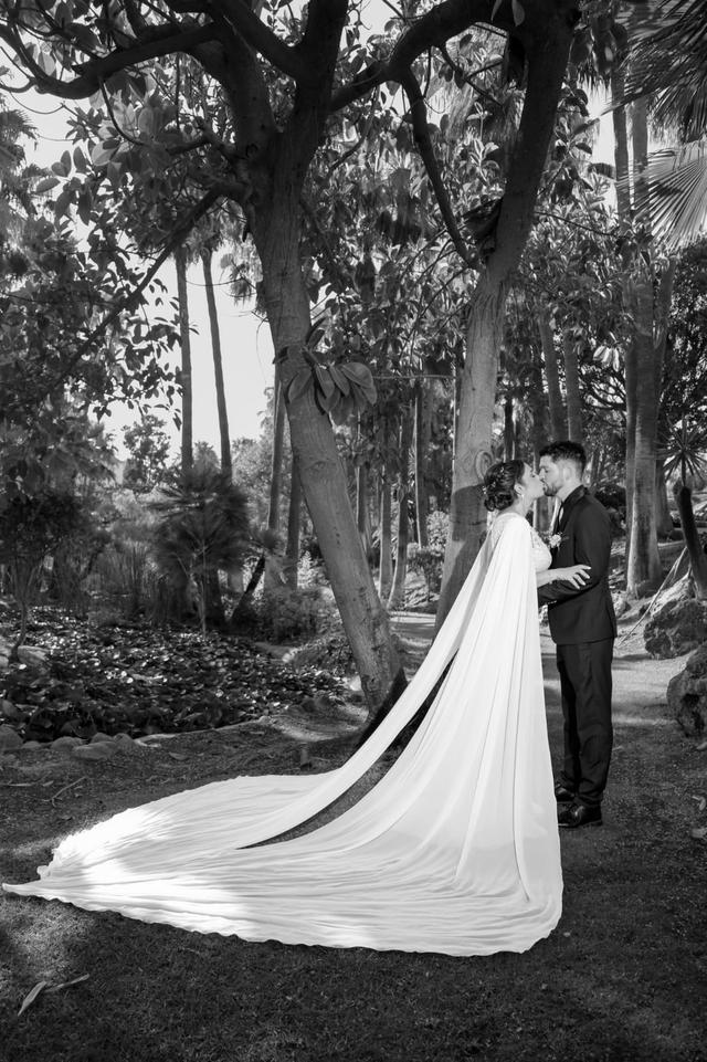 Gustavo N. Photography - 2