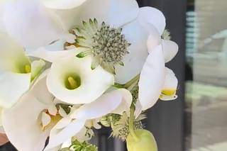 Blooming Town - 6