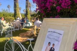 Casablanca Cristal - 11