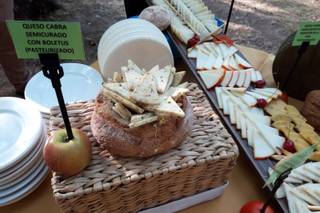 Queso con arte - 11