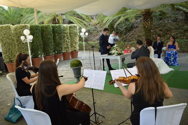 Cema Musical 5