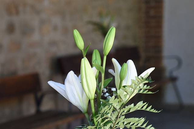 Floristería Samarcanda 4