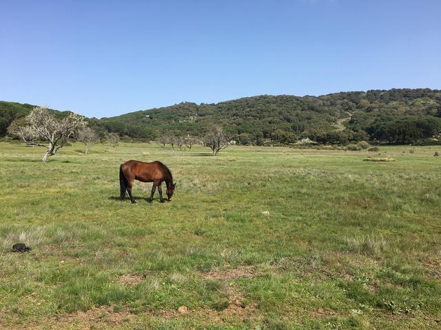 Tambor del Llano - 4