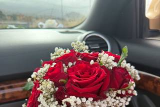 Las Libelulas Flower Shop - 7