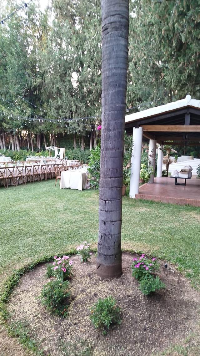 Hacienda Guadalete - 2