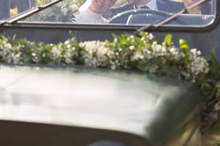WillyWeddings - 6