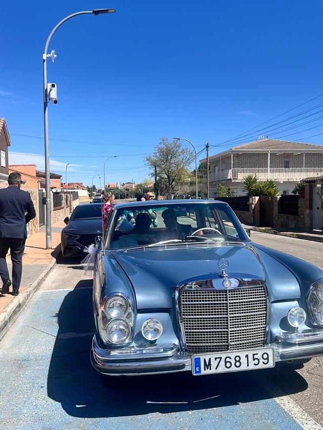 Lovely Cars - 2