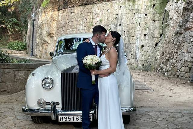 Gado Novias 3
