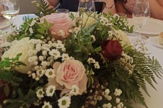 Terrae Floristas - 19