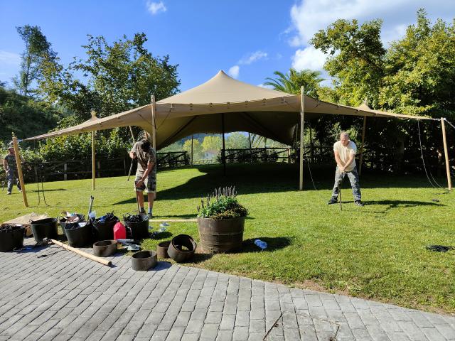 Tentaccion - 1