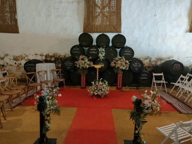 Bodegas Álvaro Domecq - 4