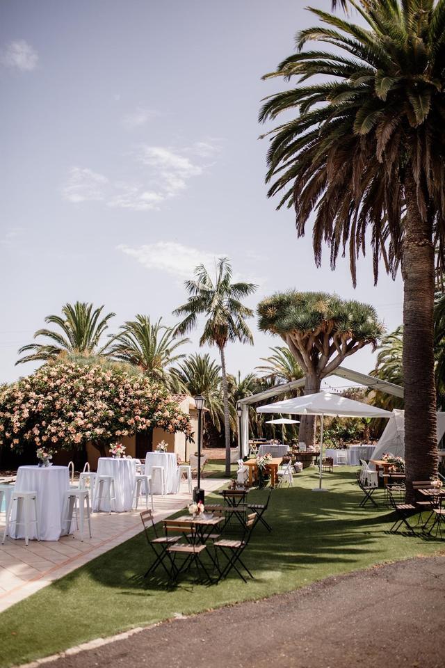 Musicalia Bodas - 2