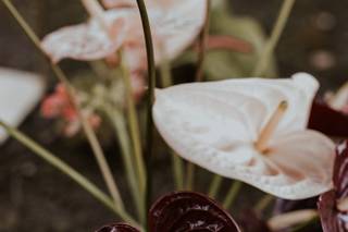 Florest - 8