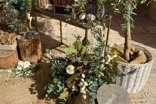 Jardinería Las Jaras 1
