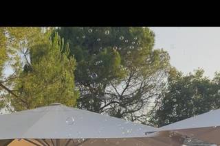 Lidia Rodríguez Novias - 9