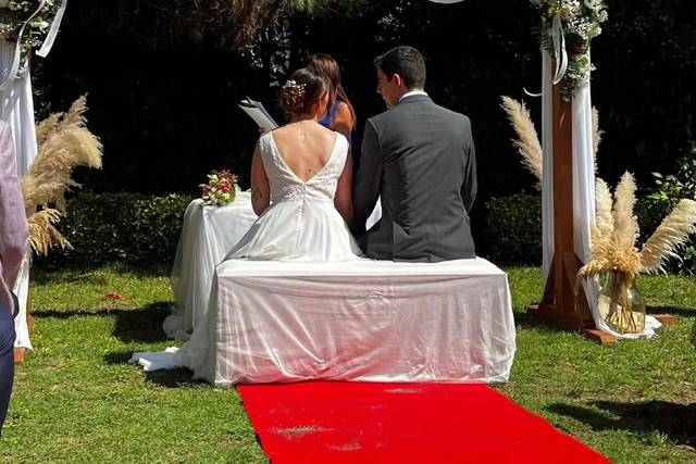 Gado Novias 1