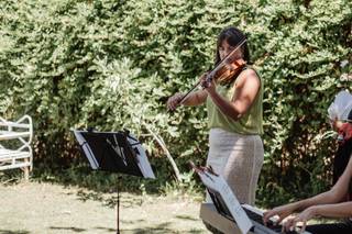 Violin Vibes - 6