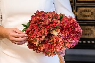 Provocateur Roses - 2