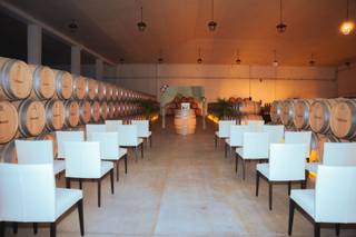 Bodegas Valdemar - 5