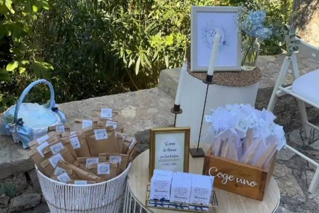 Palma Eventos 2
